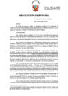 Vista preliminar de documento Resolución Directoral N.° 00538-2024-SUCAMEC-DAMMR