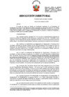 Vista preliminar de documento Resolución Directoral N.° 00541-2024-SUCAMEC-DAMMR