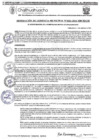 Vista preliminar de documento RGM 1112-2024