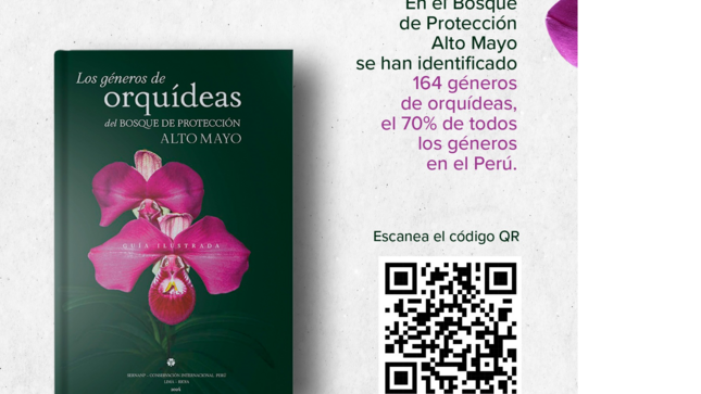 Un esfuerzo de 8 años de investigación revela la extraordinaria diversidad de géneros de orquídeas en el Bosque de Protección Alto Mayo, en San Martín.