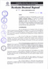 Vista preliminar de documento RDR 313-2024