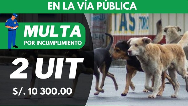 Sanciones drásticas para los dueños que abandonen sus mascotas en Paucarpata 
El Concejo Municipal de Paucaparta aprobó la 𝐎𝐑𝐃𝐄𝐍𝐀𝐍𝐙𝐀 𝐍º 013-2023-𝐌𝐃𝐏, que sanciona a los malos vecinos que abandonen a sus mascotas en la vía pública, por constituir un acto de maltrato y una condición de riesgo para la salud pública.
