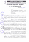 Vista preliminar de documento RDR 314-2024