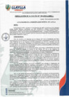 Vista preliminar de documento RA-195-2024