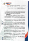 Vista preliminar de documento RA-194-2024