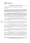 Vista preliminar de documento RESOLUCION GERENCIAL Nº 0025-2024-MPS-GM-GDUeI