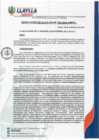 Vista preliminar de documento RA-185-2024