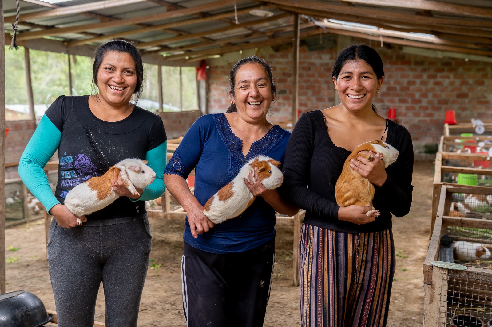 AGRO RURAL