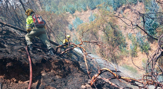 Incendio