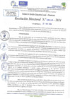 Vista preliminar de documento RD N 0995