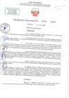 Vista preliminar de documento RD N 0996