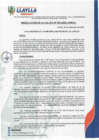 Vista preliminar de documento RA-203-2024