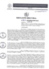 Vista preliminar de documento 02277-2023-DIRESA-OGES-AM/D