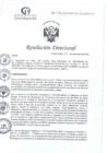 Vista preliminar de documento RD N°306-09-2024-DE-HCLLH-MINSA