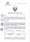 Vista preliminar de documento RD N°307-09-2024-DE-HCLLH-MINSA