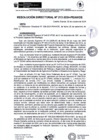 Vista preliminar de documento rd213-2024