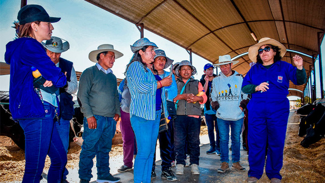fundo AQP MILK - Arequipa