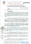 Vista preliminar de documento Nº  333-2023 Dar por concluida  la designacion Adm. Milton Ronald Condori