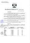 Vista preliminar de documento Resolución Jefatural Nº 232-2024-INEI