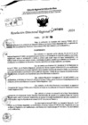Vista preliminar de documento RDR 7489-2024