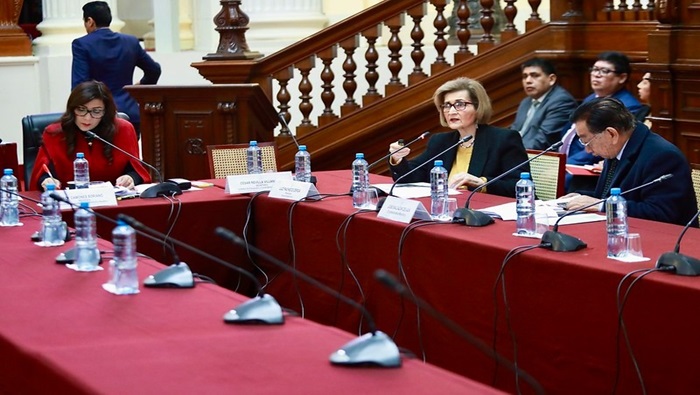 Presidenta del TC Luz Pacheco sustentó proyecto de presupuesto para el ejercicio fiscal 2025 ante Comisión de Presupuesto del Congreso