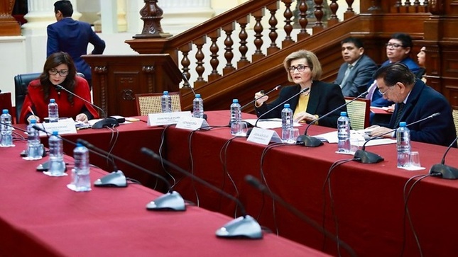 Presidenta del TC Luz Pacheco sustentó proyecto de presupuesto para el ejercicio fiscal 2025 ante Comisión de Presupuesto del Congreso