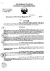 Vista preliminar de documento RDR 7502-2024