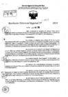 Vista preliminar de documento RDR 7503-2024