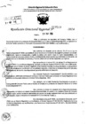 Vista preliminar de documento RDR 7507-2024