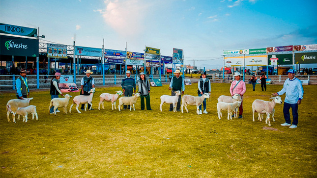 Expo Majes - 2024