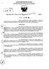 Vista preliminar de documento RDR 7512-2024