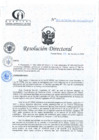 Vista preliminar de documento RD N°317-10-2024-DE-HCLLH-MINSA