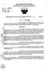 Vista preliminar de documento RDR 7516-2024