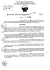 Vista preliminar de documento RDR 7521-2024