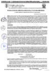 Vista preliminar de documento RGM 1115-2024