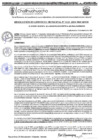 Vista preliminar de documento RGM 1123-2024