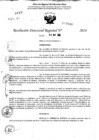 Vista preliminar de documento RDR 7540-2024