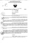 Vista preliminar de documento RDR 7542-2024
