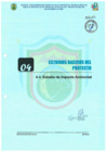 Vista preliminar de documento ESTUDIO DE IMPACTO AMBIENTAL