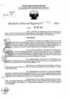 Vista preliminar de documento RDR 7556-2024