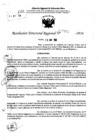 Vista preliminar de documento RDR 7563-2024