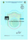Vista preliminar de documento DISEÑO HIDRAULICO Y ESTRUCTURAL