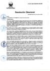 Vista preliminar de documento RD Nº 227-2024-DGINSM-HD-HN