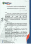 Vista preliminar de documento RGM-101-2024