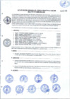 Vista preliminar de documento 020-2020-27 de octubre 2020