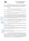 Vista preliminar de documento RGR GRI N° 213-2024