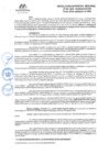 Vista preliminar de documento RGR GRI N° 209-2024