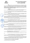 Vista preliminar de documento RGR GRI N° 208-2024