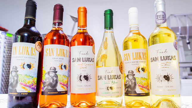 Municipalidad de Huarmey celebra el día de la Uva Quebranta con capacitación para vitivinicultores.