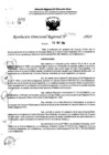 Vista preliminar de documento RDR 7579-2024